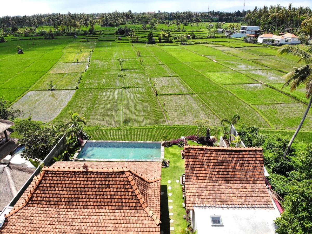 Villa O'Hea Ubud Luaran gambar