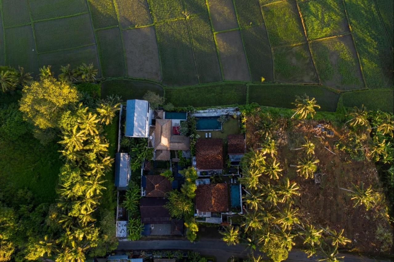 Villa O'Hea Ubud Luaran gambar